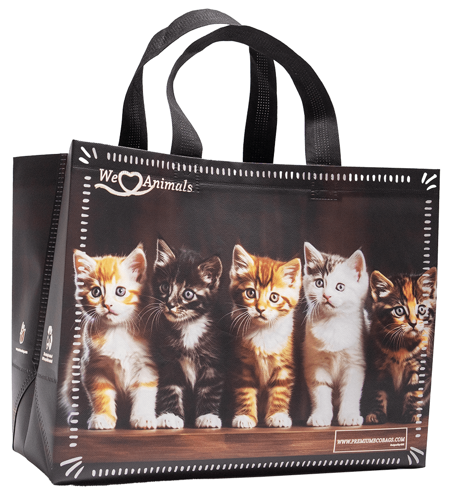 Kitty Team bag design